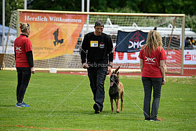 Flick vom roten Drachen