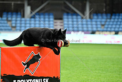 Försvarsmaktens Latto