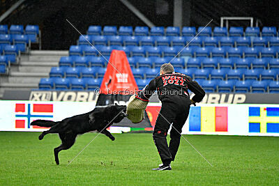 Försvarsmaktens Latto