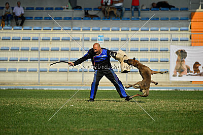 Forny ze Soutoku Sázavy