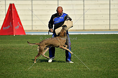 Forny ze Soutoku Sázavy