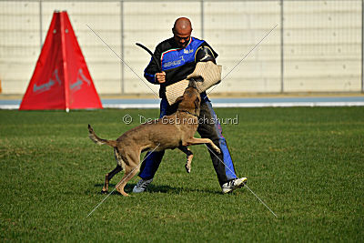 Forny ze Soutoku Sázavy