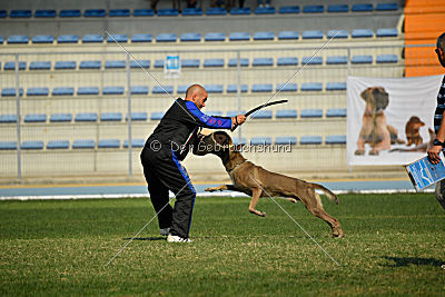 Forny ze Soutoku Sázavy