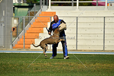 Forny ze Soutoku Sázavy
