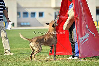 Forny ze Soutoku Sázavy