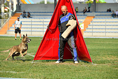 Forny ze Soutoku Sázavy