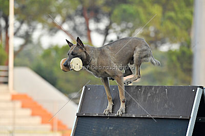 Forny ze Soutoku Sázavy