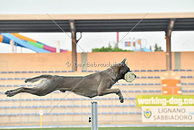 Forny ze Soutoku Sázavy