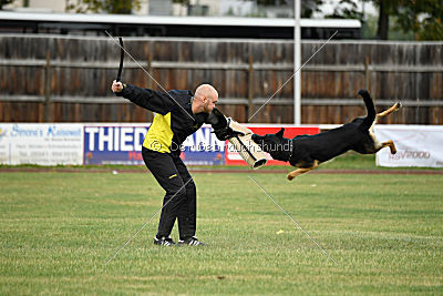 Forrest del Camino Duro