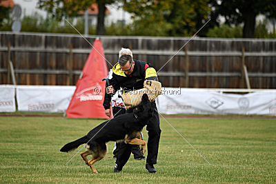 Forrest del Camino Duro