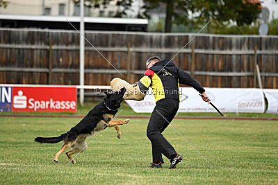 Forrest del Camino Duro