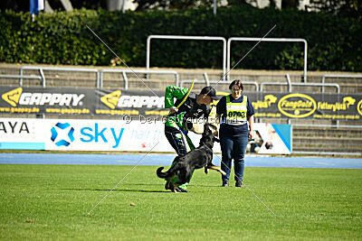 Fräulein Fibi vom Alten Bernauer Heerweg