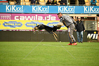 Fräulein Fibi vom Alten Bernauer Heerweg