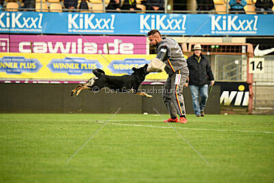 Fräulein Fibi vom Alten Bernauer Heerweg