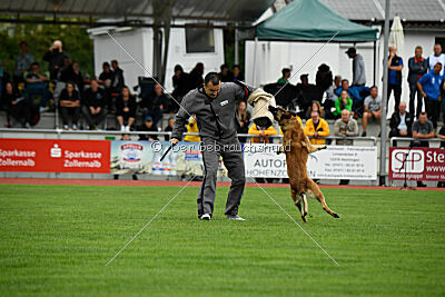 Freak von Malihattan