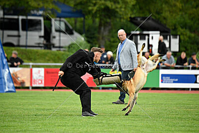 Freak von Malihattan