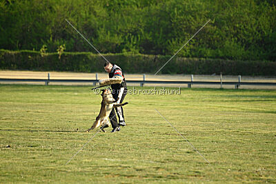 Freak von Malihattan