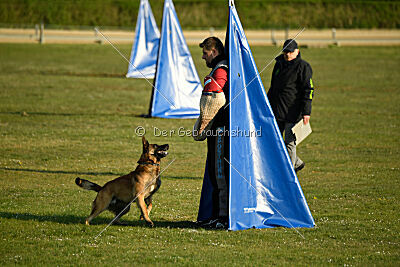 Freak von Malihattan