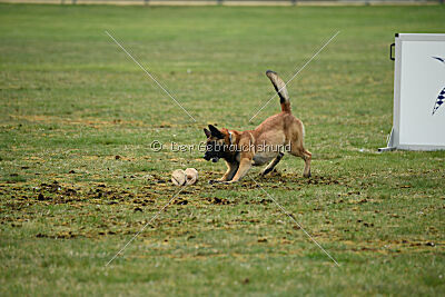 Freak von Malihattan