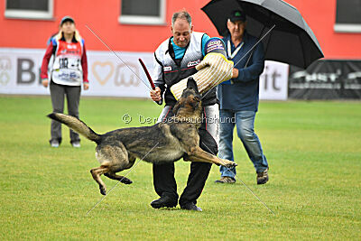 Freddy Tespo Bohemia