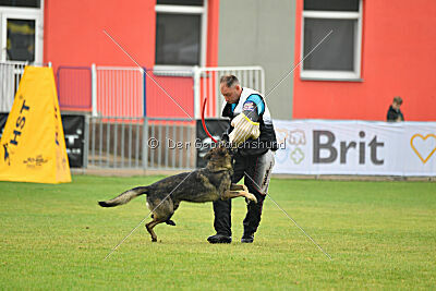 Freddy Tespo Bohemia