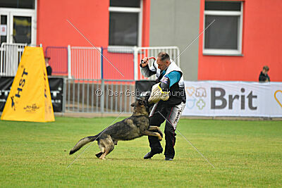 Freddy Tespo Bohemia