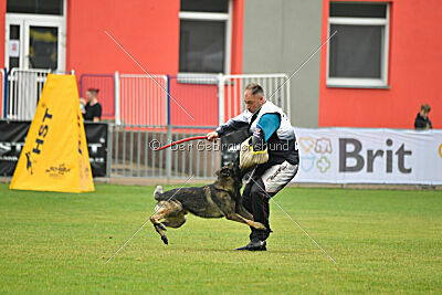 Freddy Tespo Bohemia