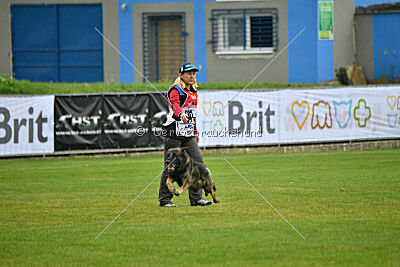 Freddy Tespo Bohemia