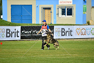 Freddy Tespo Bohemia