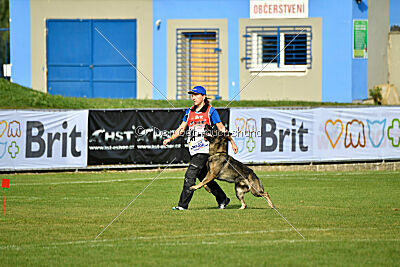 Freddy Tespo Bohemia