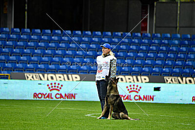 Freddy Tespo Bohemia