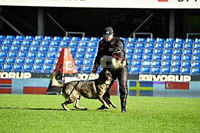 Freddy Tespo Bohemia