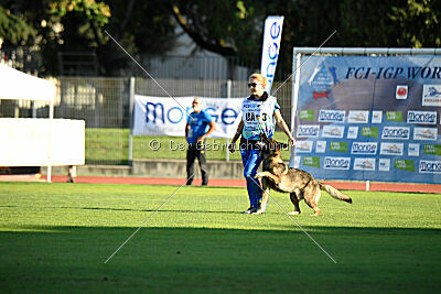 Freddy Tespo Bohemia