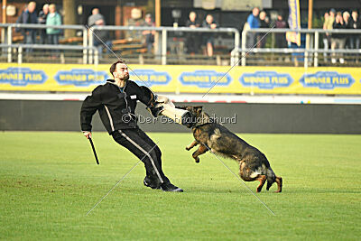 Fredo von Schloß Bothmer