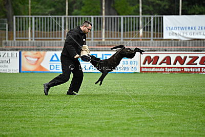 Frenzy's Ferrari of Flying Attacks