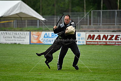 Frenzy's Ferrari of Flying Attacks