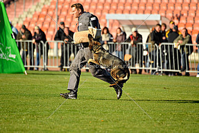 Freundin vom Severusbrunnen