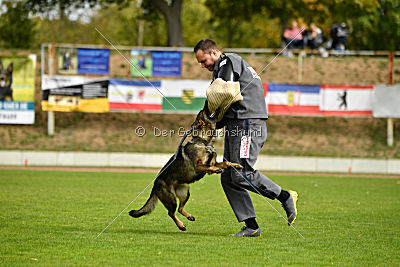 Freya vom Dahlhauser Schloßpark
