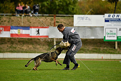 Freya vom Dahlhauser Schloßpark