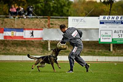 Freya vom Dahlhauser Schloßpark