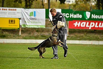 Freya vom Dahlhauser Schloßpark