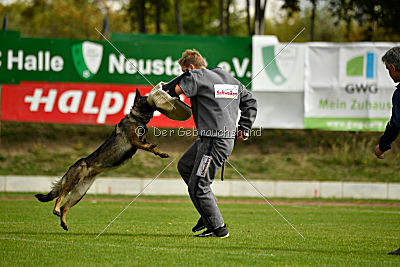 Freya vom Dahlhauser Schloßpark