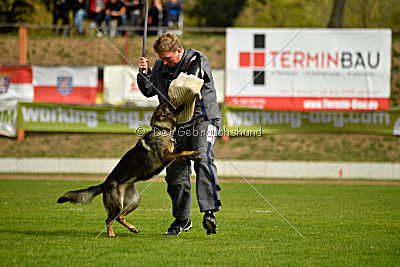 Freya vom Dahlhauser Schloßpark