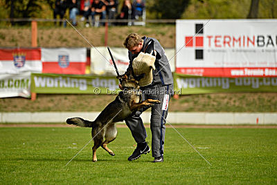 Freya vom Dahlhauser Schloßpark