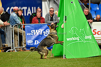 Freya vom Dahlhauser Schloßpark