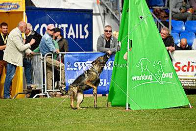 Freya vom Dahlhauser Schloßpark