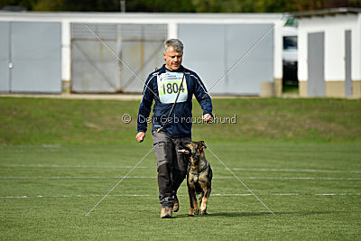 Freya vom Dahlhauser Schloßpark