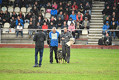 Frieda vom Wietzestrand