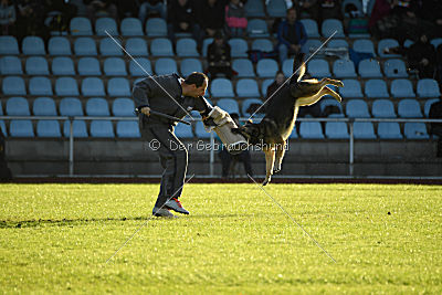 Frieda vom Wietzestrand