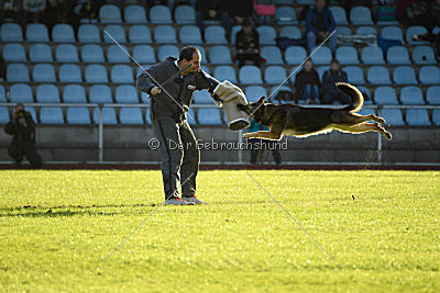 Frieda vom Wietzestrand